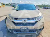 2019 Honda CR-V фото