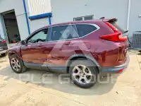 2019 Honda CR-V фото