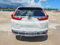 2019 Honda CR-V фото