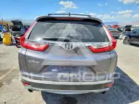 2019 Honda CR-V фото