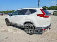 2019 Honda CR-V photo