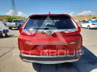 2019 Honda CR-V фото