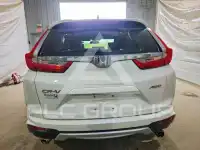 2019 Honda CR-V фото