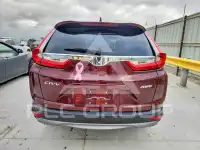 2019 Honda CR-V фото