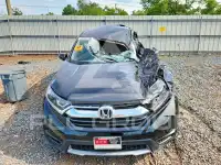2019 Honda CR-V photo