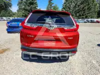 2019 Honda CR-V фото