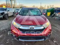 2019 Honda CR-V photo