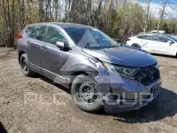 2019 Honda CR-V photo