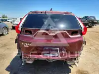 2019 Honda CR-V фото