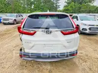 2019 Honda CR-V фото
