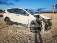 2019 Honda CR-V фото