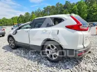 2019 Honda CR-V фото