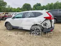 2019 Honda CR-V фото