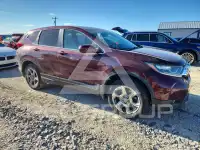 2019 Honda CR-V фото