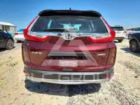 2019 Honda CR-V фото