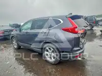 2019 Honda CR-V фото