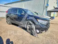 2019 Honda CR-V фото