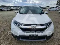 2019 Honda CR-V фото