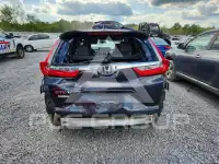 2019 Honda CR-V photo