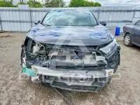 2019 Honda CR-V фото