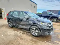 2019 Honda CR-V фото
