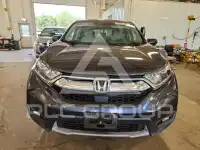 2019 Honda CR-V фото