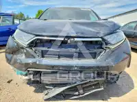 2019 Honda CR-V фото