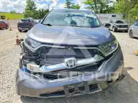 2019 Honda CR-V фото