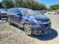 2019 Honda CR-V photo