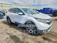 2019 Honda CR-V фото