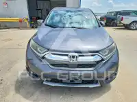 2019 Honda CR-V фото