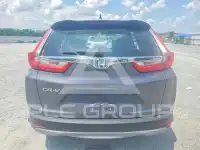 2019 Honda CR-V фото