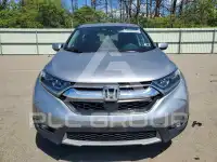 2019 Honda CR-V фото