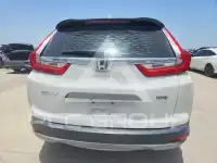 2019 Honda CR-V фото