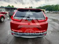 2019 Honda CR-V фото