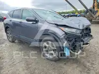 2019 Honda CR-V фото