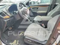 2019 Honda CR-V фото