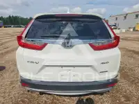 2019 Honda CR-V фото