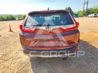 2019 Honda CR-V photo
