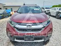 2019 Honda CR-V фото