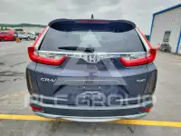 2019 Honda CR-V фото