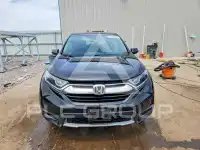 2019 Honda CR-V фото