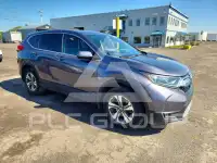 2019 Honda CR-V фото