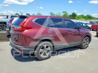 2019 Honda CR-V фото
