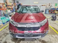 2019 Honda CR-V photo