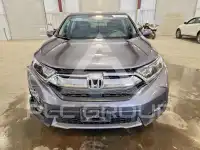 2019 Honda CR-V фото