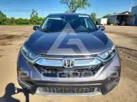 2019 Honda CR-V photo