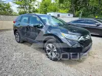 2019 Honda CR-V фото