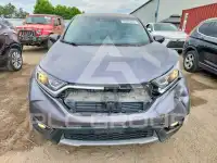 2019 Honda CR-V photo
