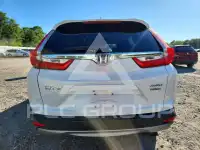 2019 Honda CR-V фото